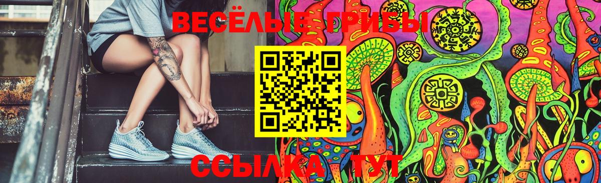 Псилоцибиновые грибы мицелий  Вход с VPN  Северск 
