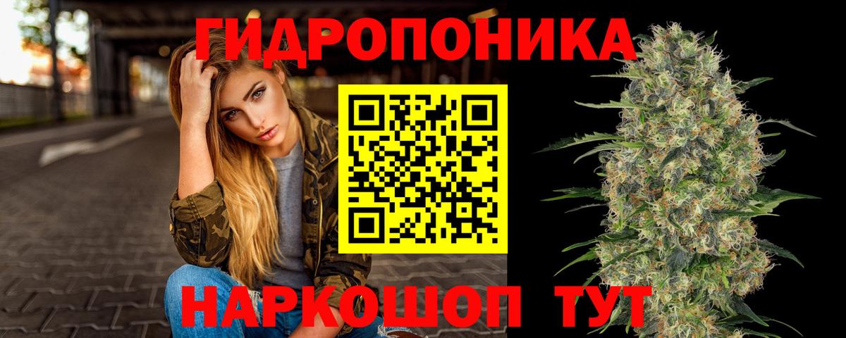 МАРИХУАНА конопля Северск